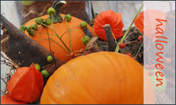 halloween-inspiratie bij Zijderveld